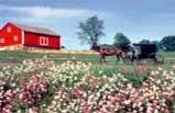 Philadelphia & Amish Country - One Day Bus Tour